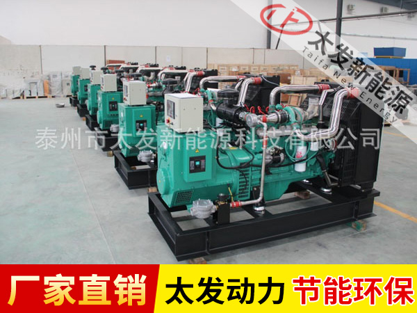 康明斯秸稈氣發(fā)電機組